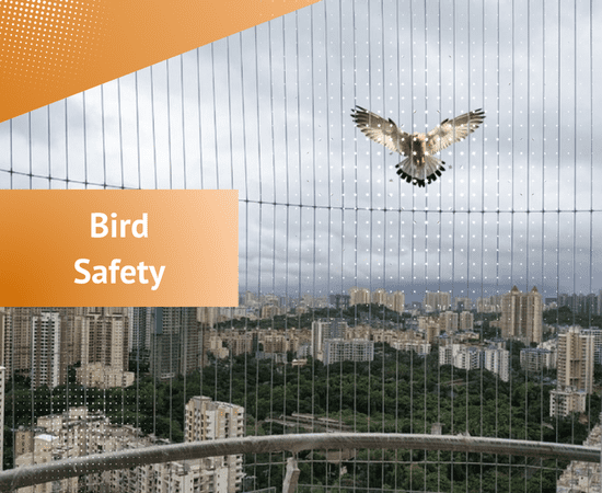 bird safety grills